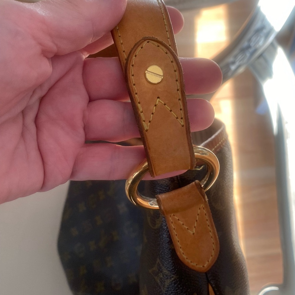 Louis Vuitton Monogram Delightful Bag - Picture 4 of 10